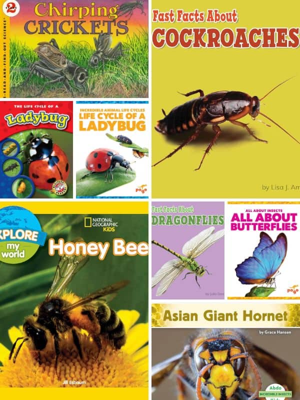 Nonfiction Books About Insects