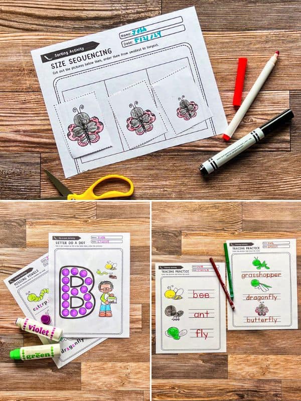 Preschool Bug Worksheets