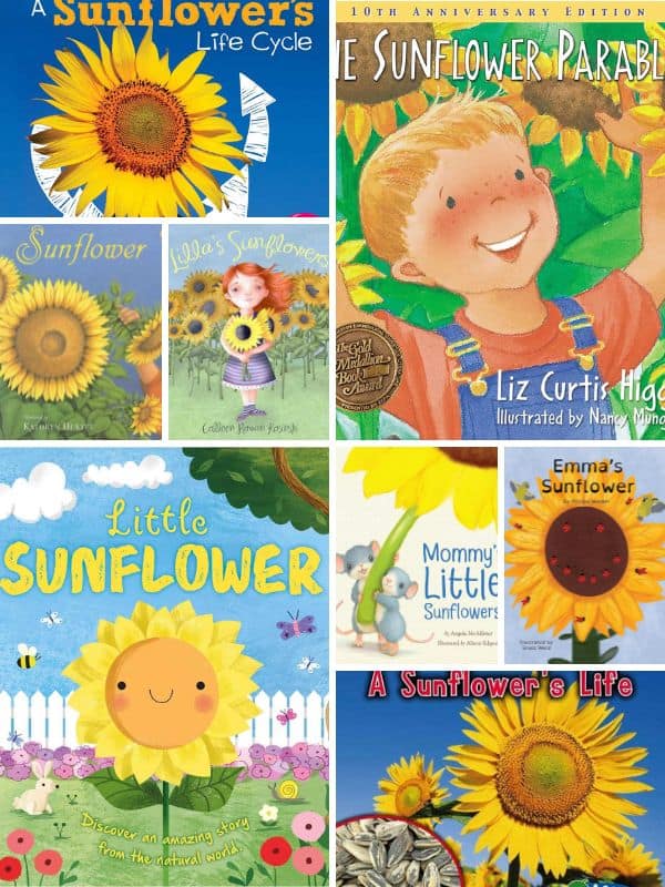 Sunflower Books for Preschool