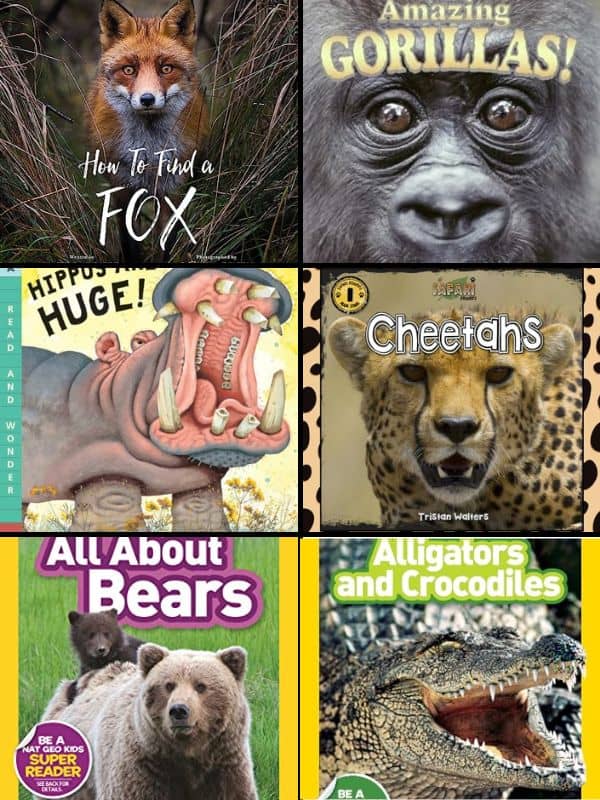 Wild Animal Books for Preschoolers