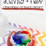 Pinterest Hidden Image