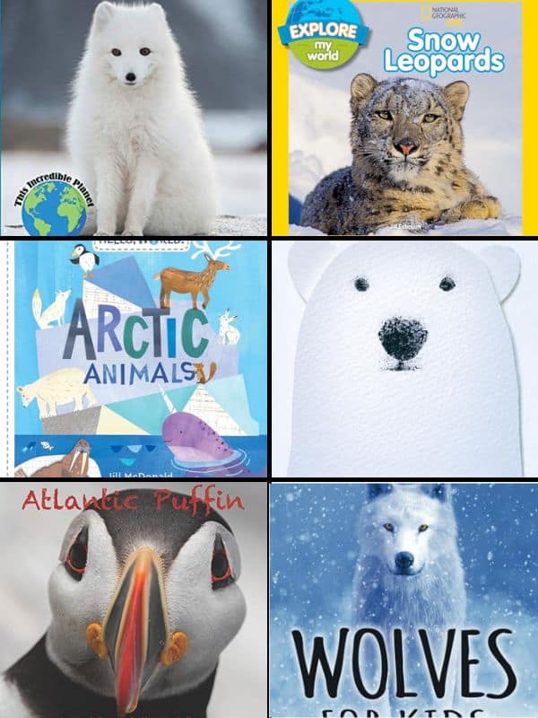 Arctic Animal Books for Preschoolers