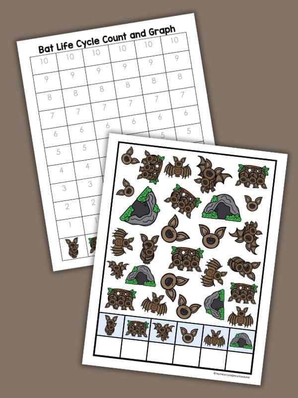 Bat Life Cycle Count and Graph Worksheets