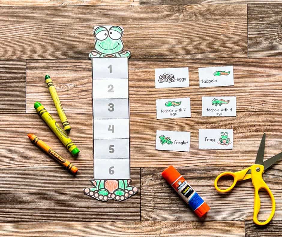 Completed frog life cycle activity with colored stages, crayons, scissors, and glue stick on a wooden surface.