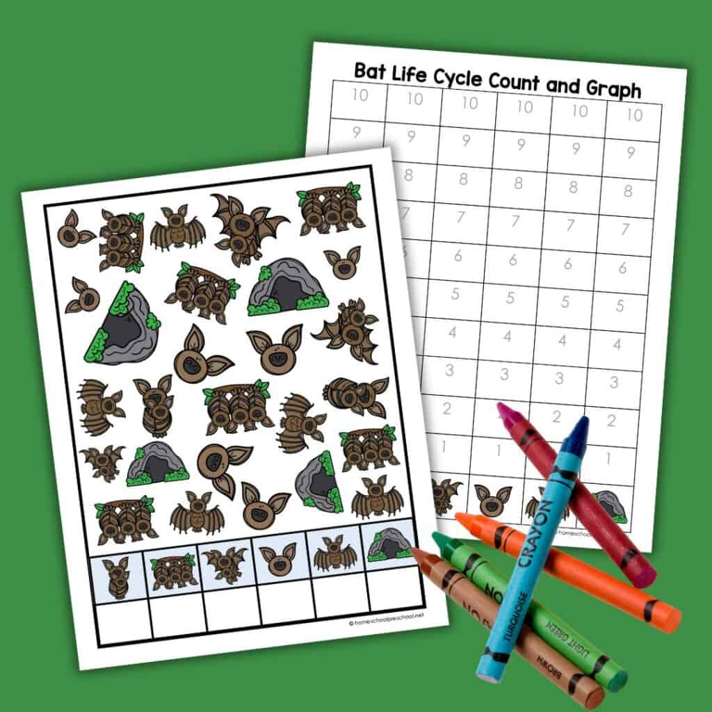 Bat-themed printable worksheet featuring a graph and life cycle stages, with vibrant colors and a child-friendly design.