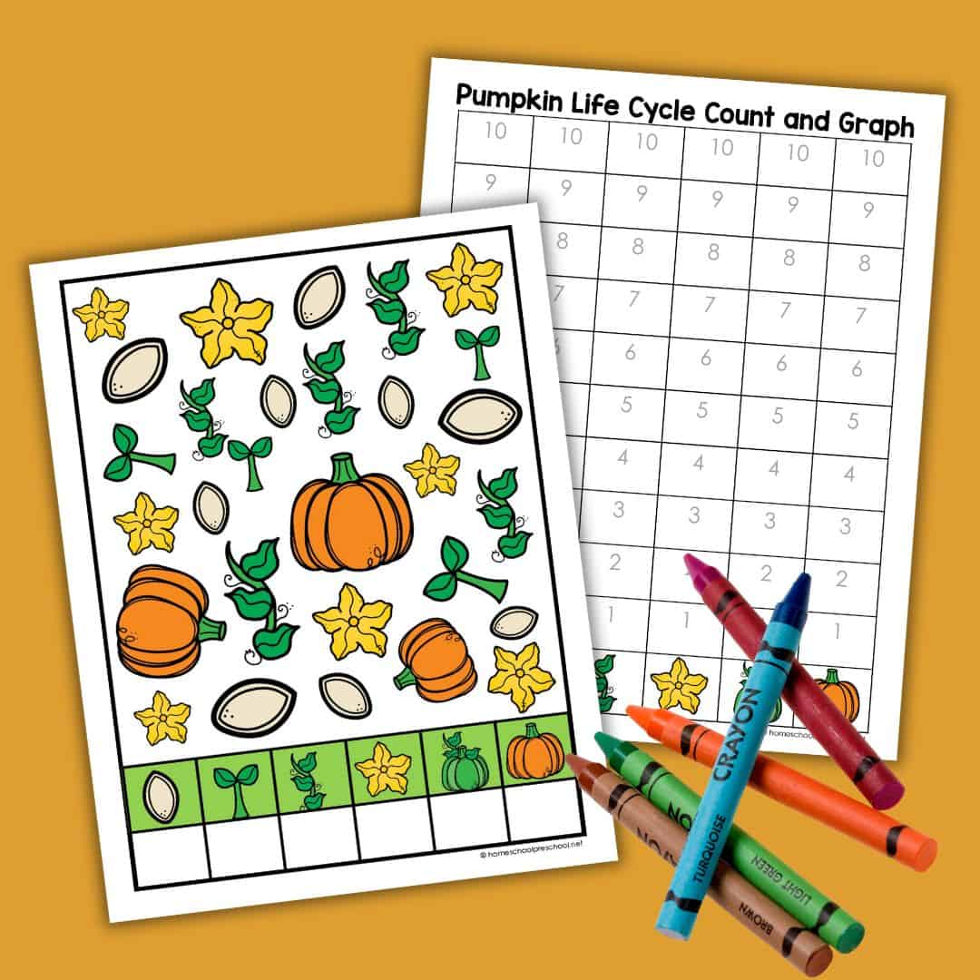 Pumpkin Life Cycle Count and Graph