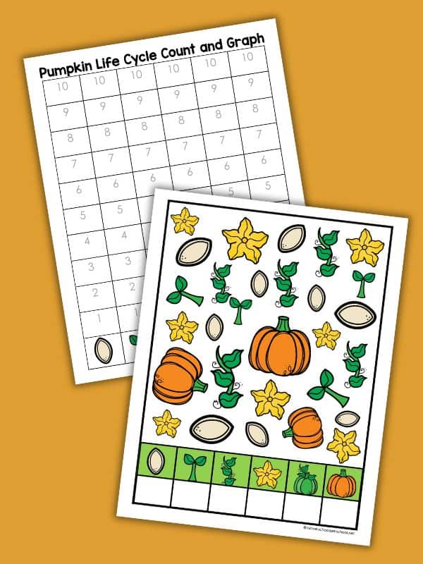 Pumpkin Life Cycle Count and Graph