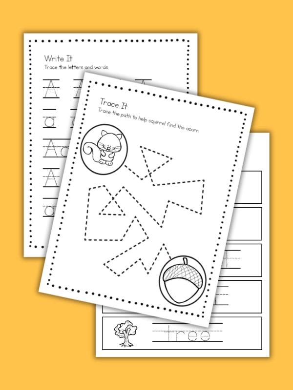 Little Acorn Book Activities