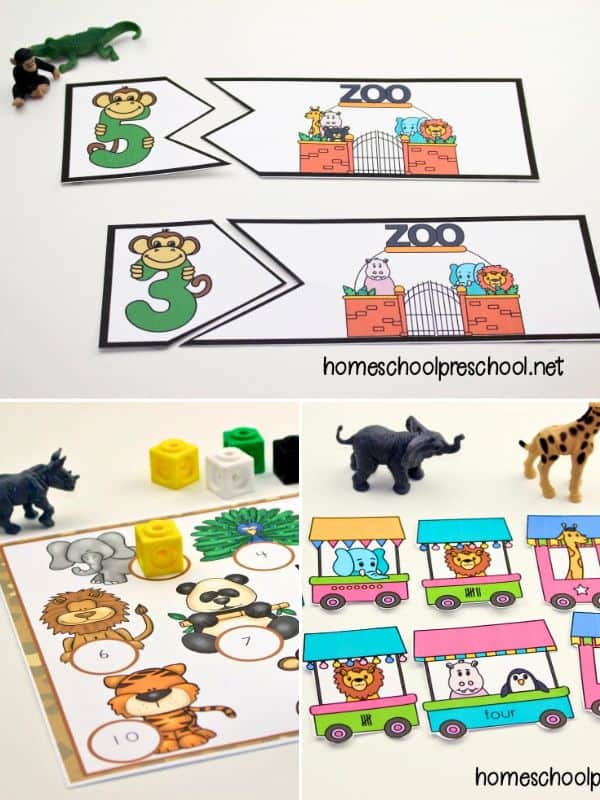 Zoo Counting Activities