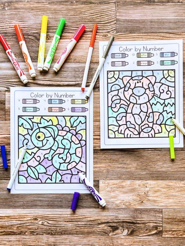 Rainforest Color by Number