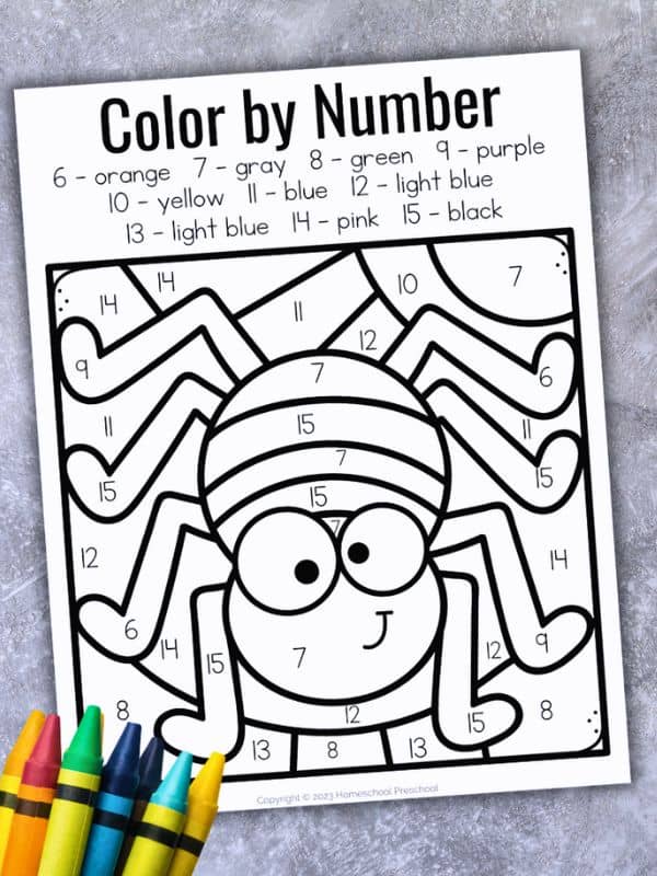 Color by Number Spider