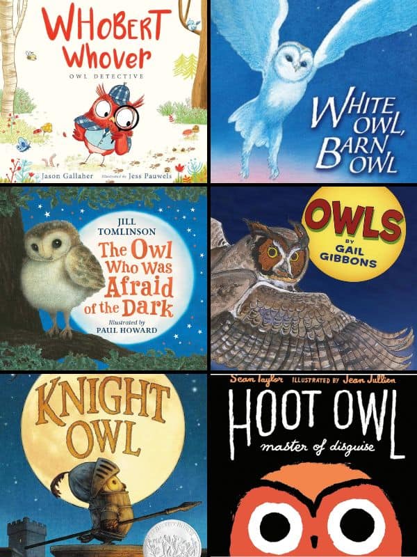 Picture Books About Owls