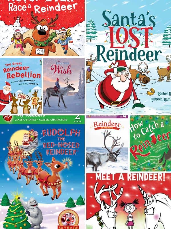 Reindeer Books for Kindergarten