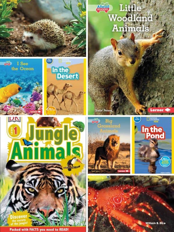 Animal Habitat Books for Kindergarten