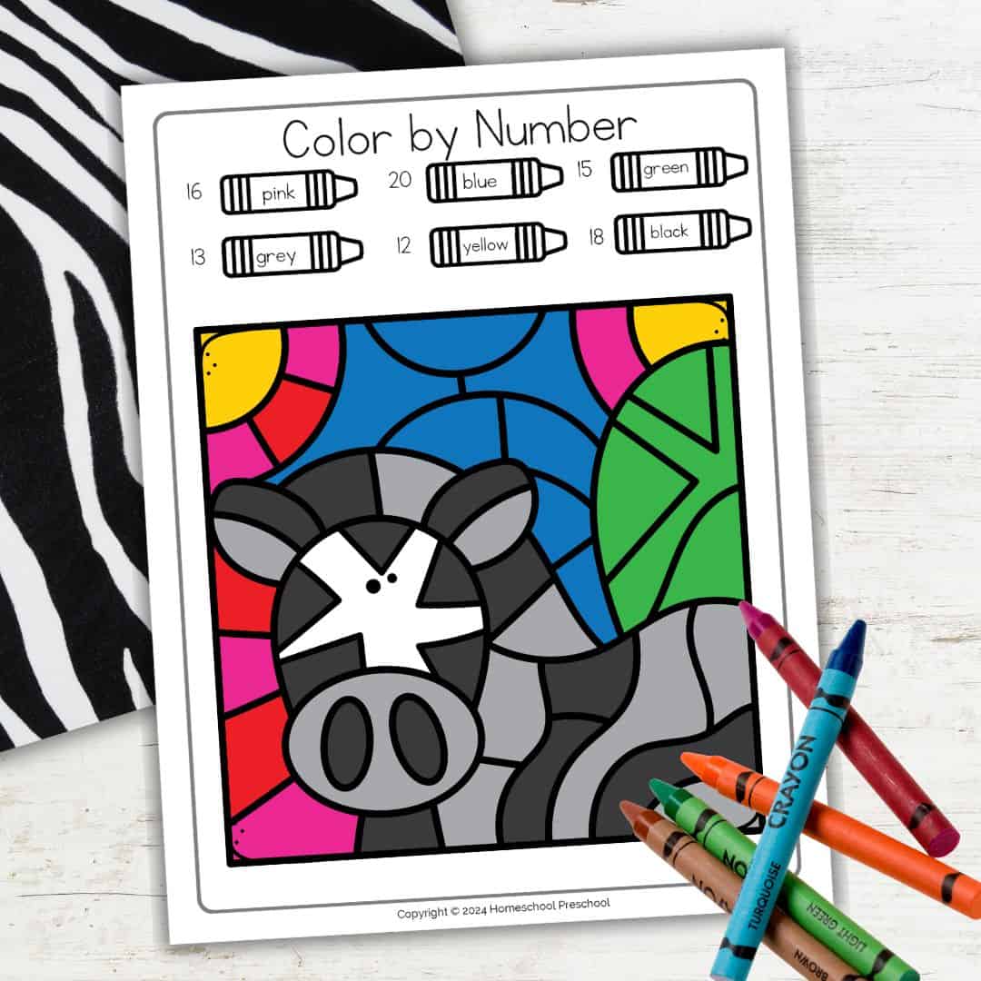 Zebra Color by Number