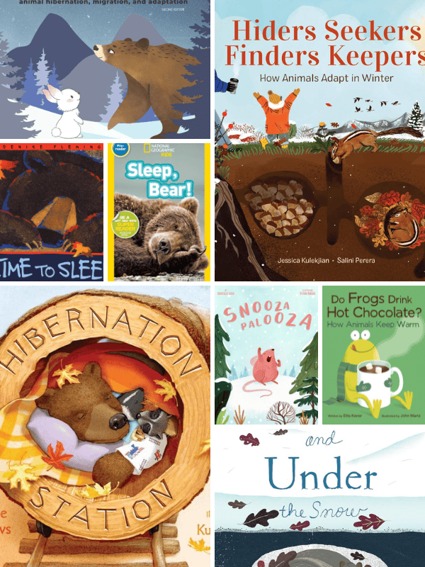 Hibernation Books for Preschoolers