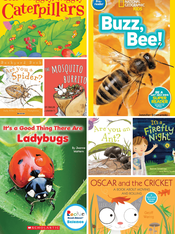 Preschool Books About Insects