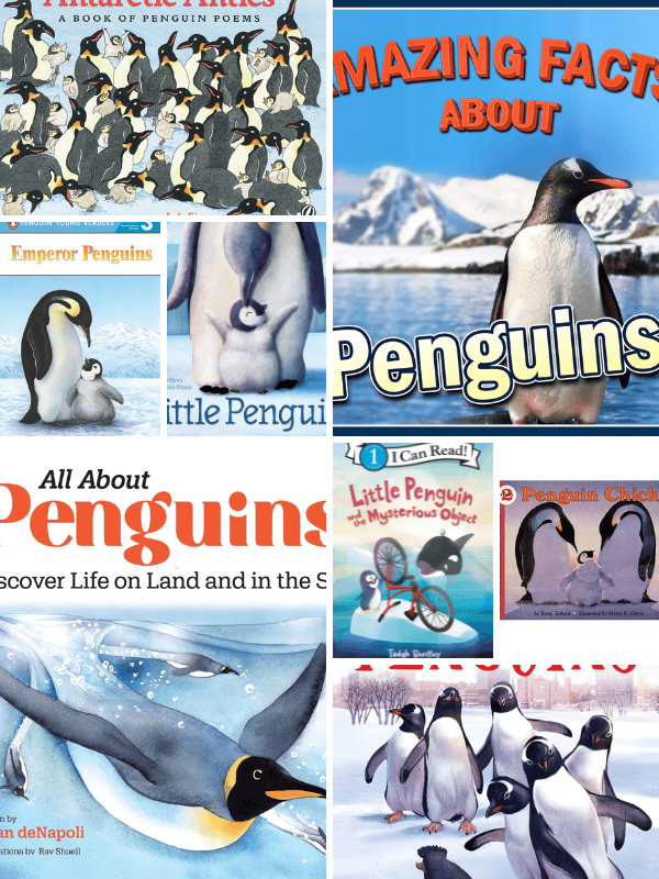 Books About Penguins for Kindergarten