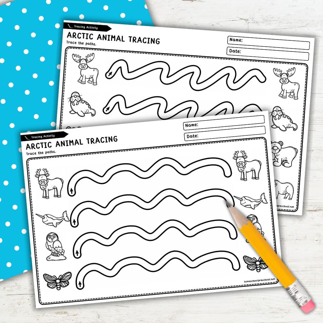 Arctic Animals Tracing Worksheets