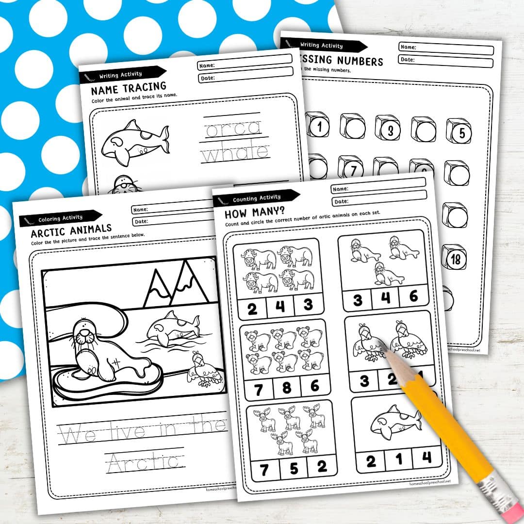 Arctic Animals Preschool Printables