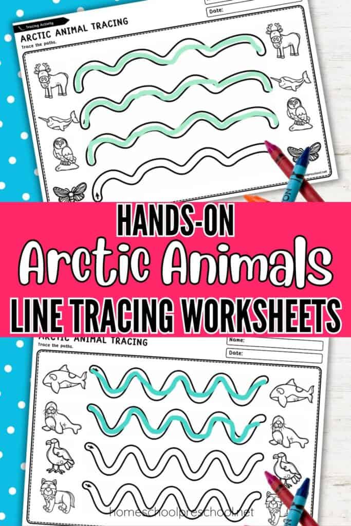 Free printable Arctic animal tracing worksheets for preschool fine motor skills