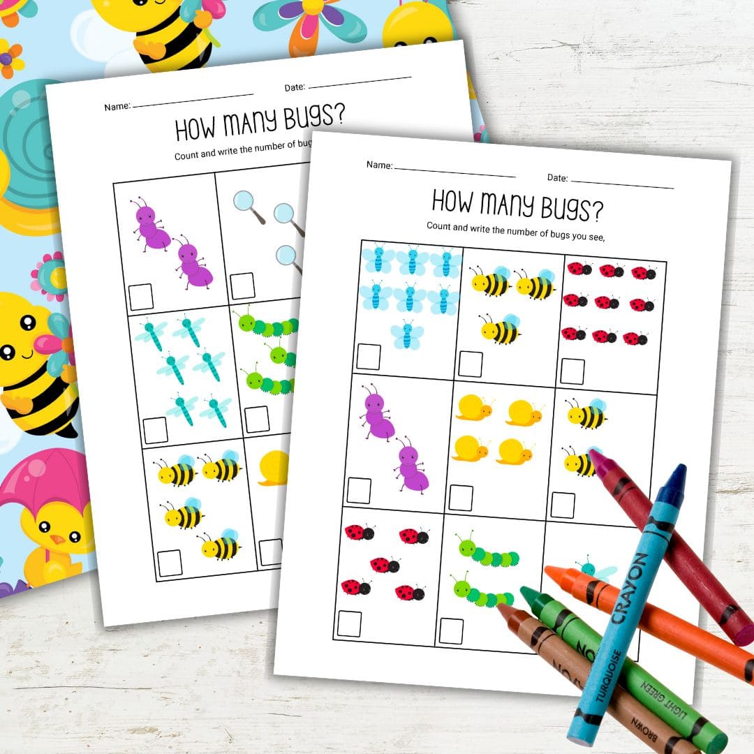 Pre K Bug Counting Worksheets