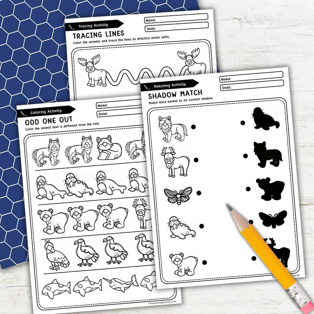 Arctic Animal Fine Motor Activities