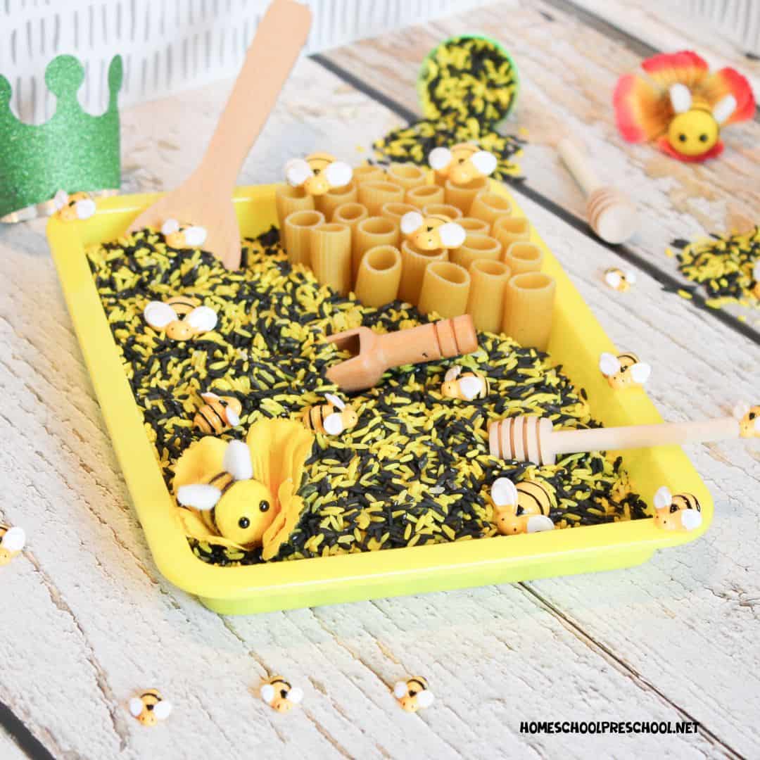 Bee Sensory Bin