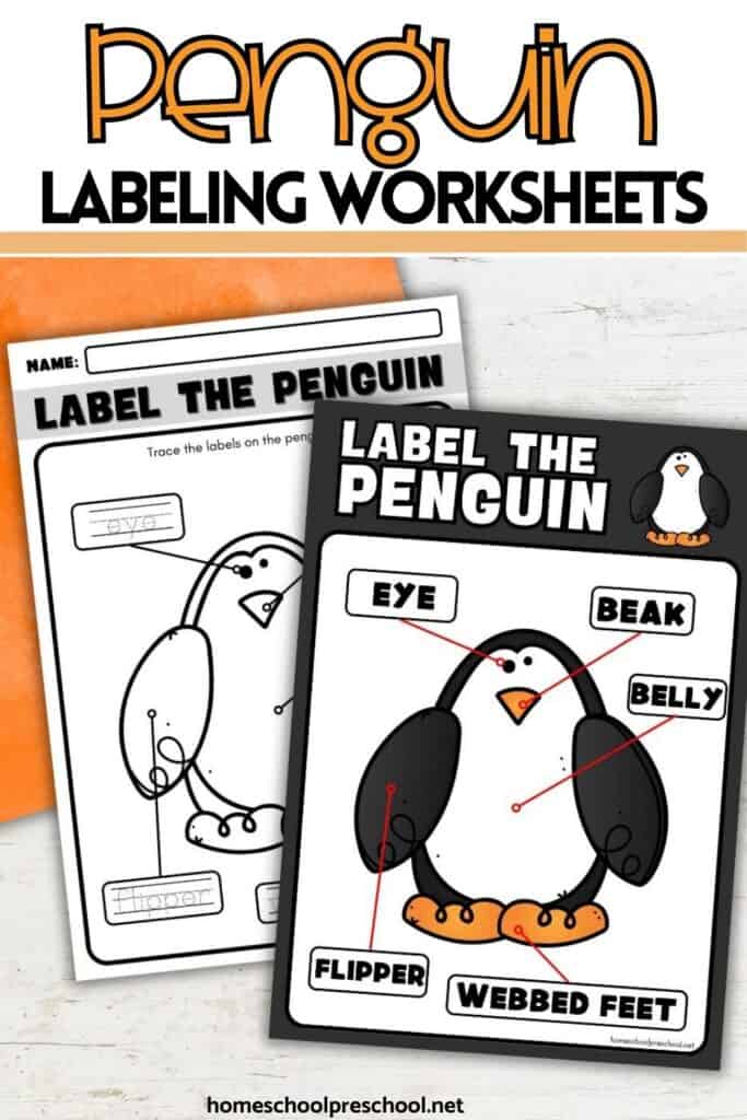 Parts of a penguin worksheet showing preschool labeling pages with penguin body parts
