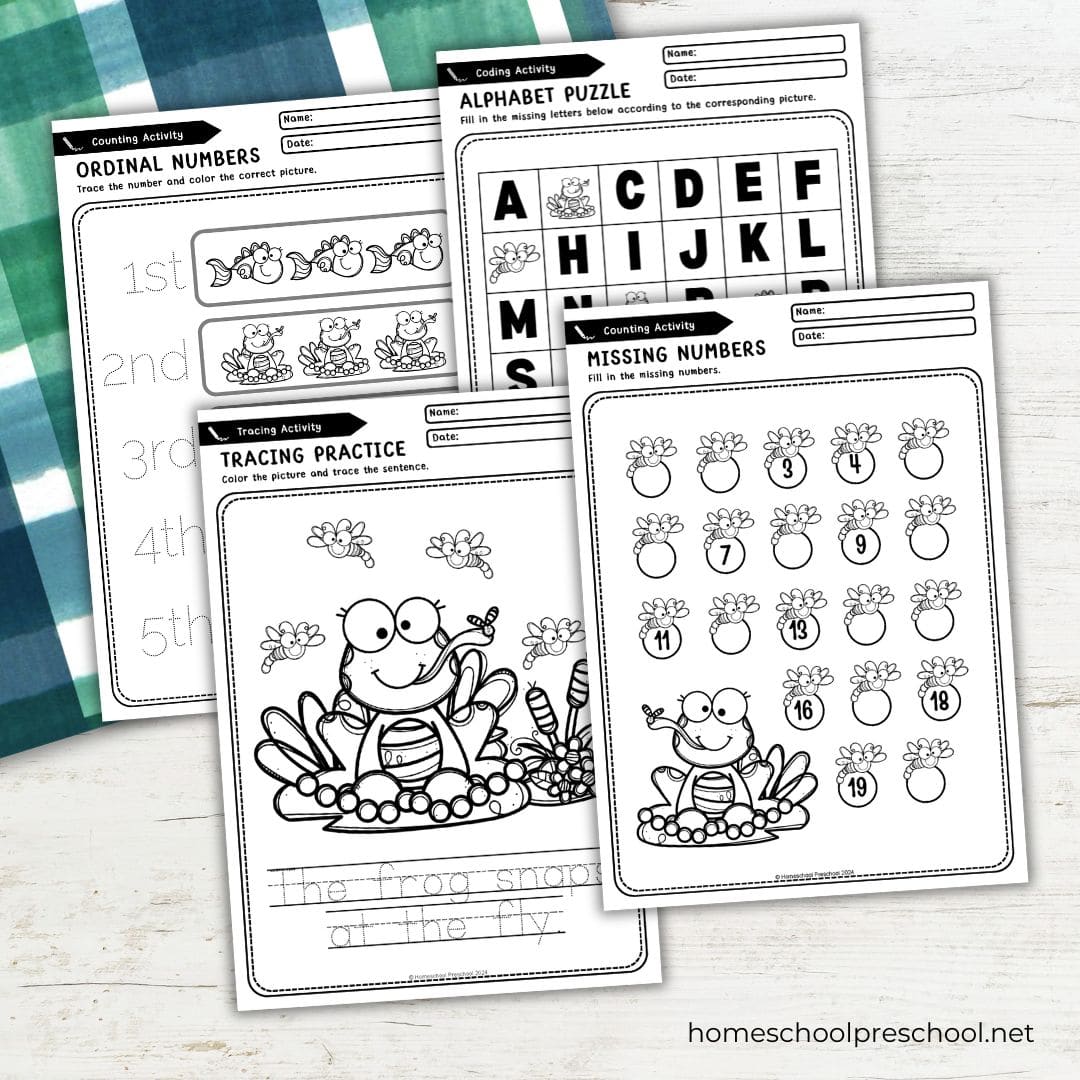 Pond Life Preschool Printables