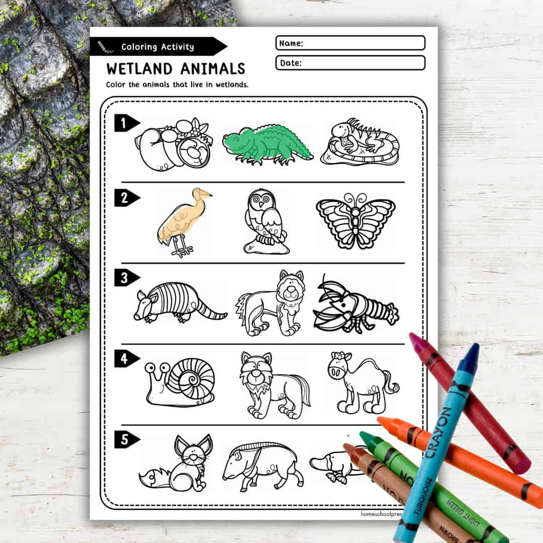 Animal Habitats Preschool Printables