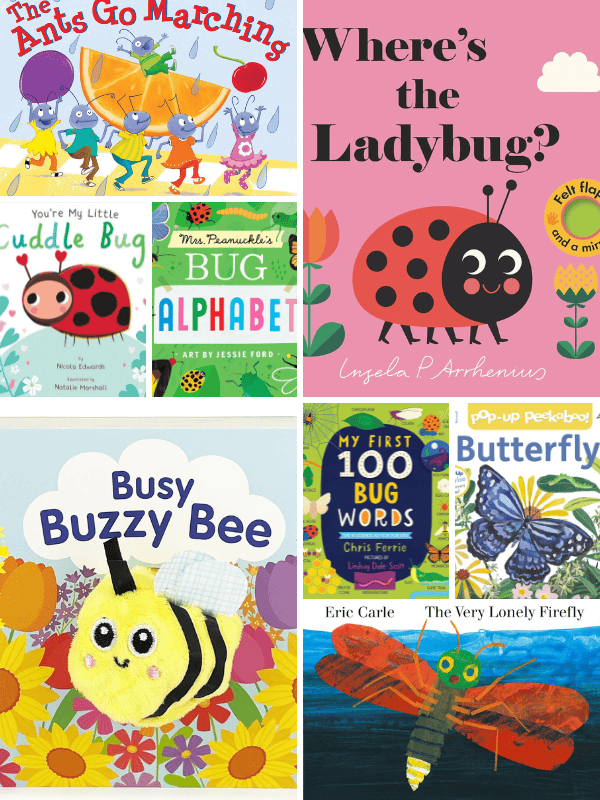 Insect Books for Toddlers