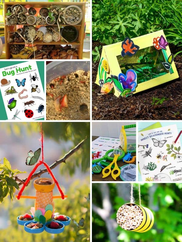 Outdoor Bug Activities for Preschoolers