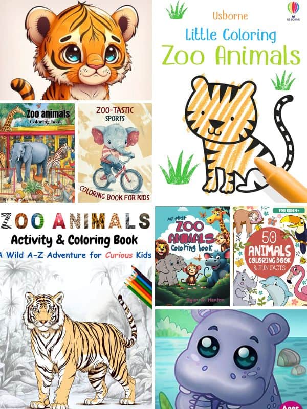Zoo Coloring Books