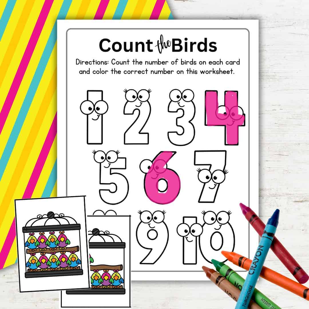 Bird Counting Activity