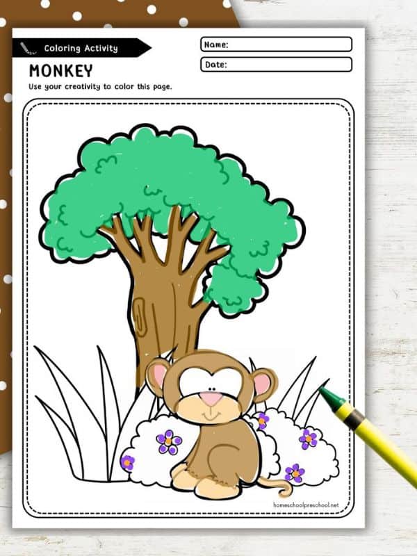 Baby Zoo Animals Coloring Pages