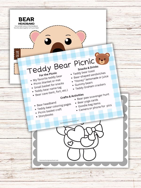 Teddy Bear Picnic Ideas