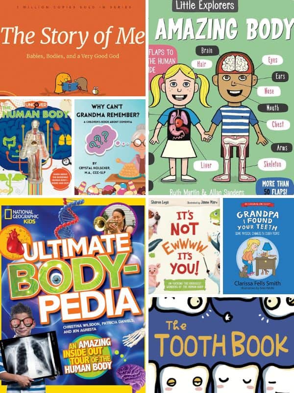 Human Life Cycle Books for Preschoolers