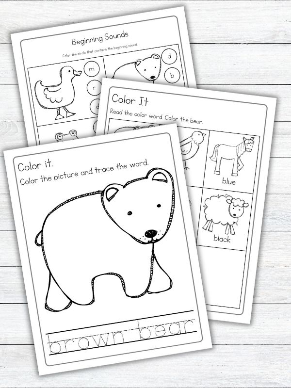 Brown Bear Brown Bear Book Activities