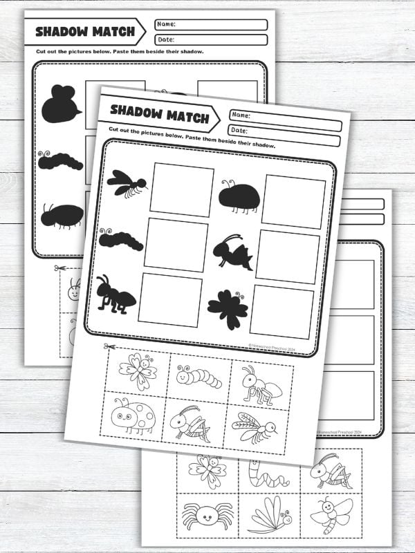 Pre-K Bug Matching Worksheet