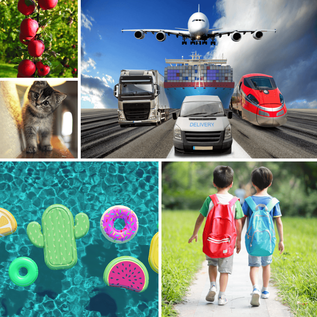 August Preschool Themes