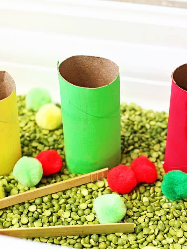 Color Sorting Apple Sensory Bin