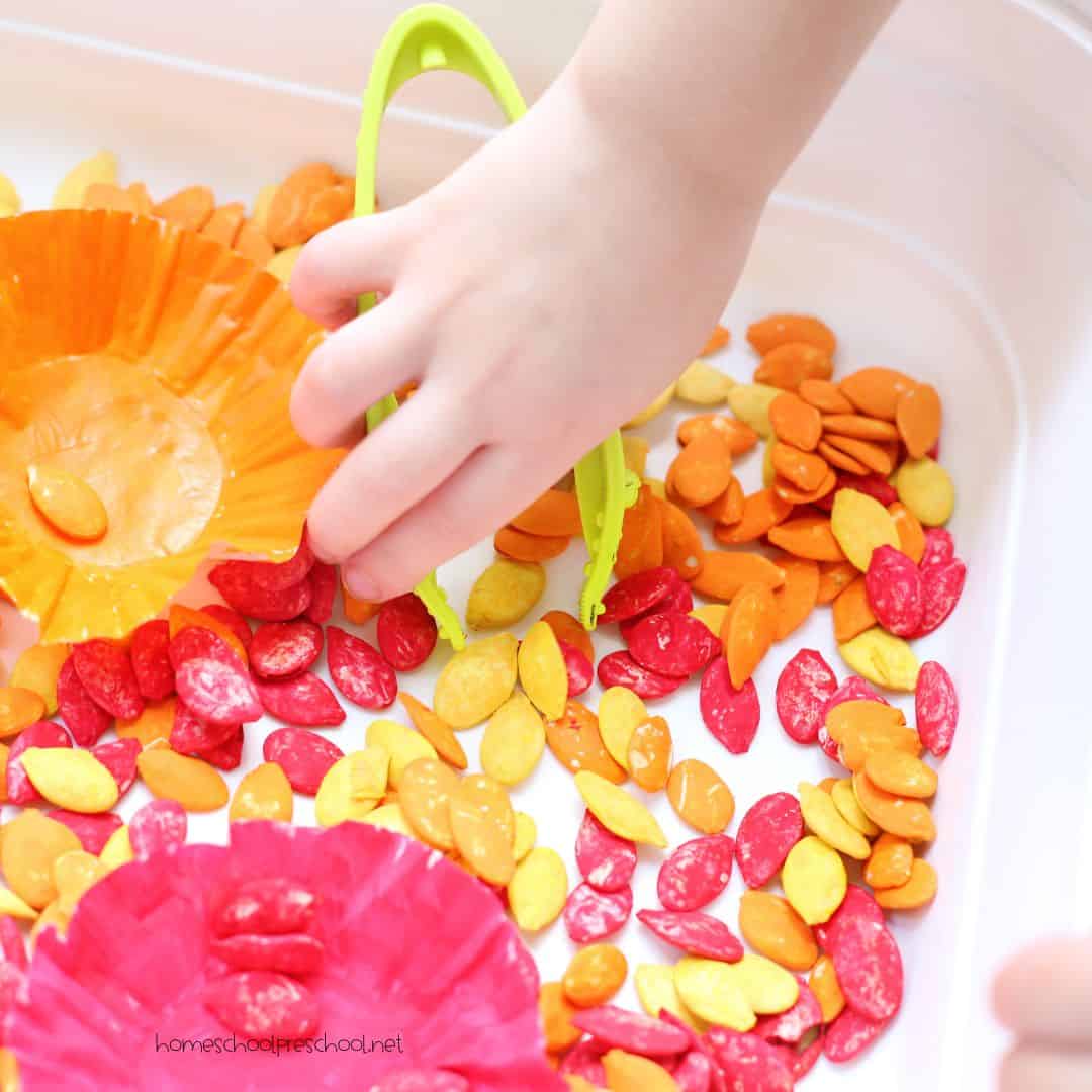 Pumpkin Sensory Bin {Free Printable Instructions}
