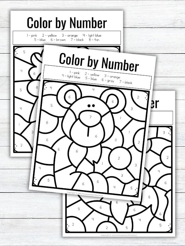 Arctic Animals Color by Number