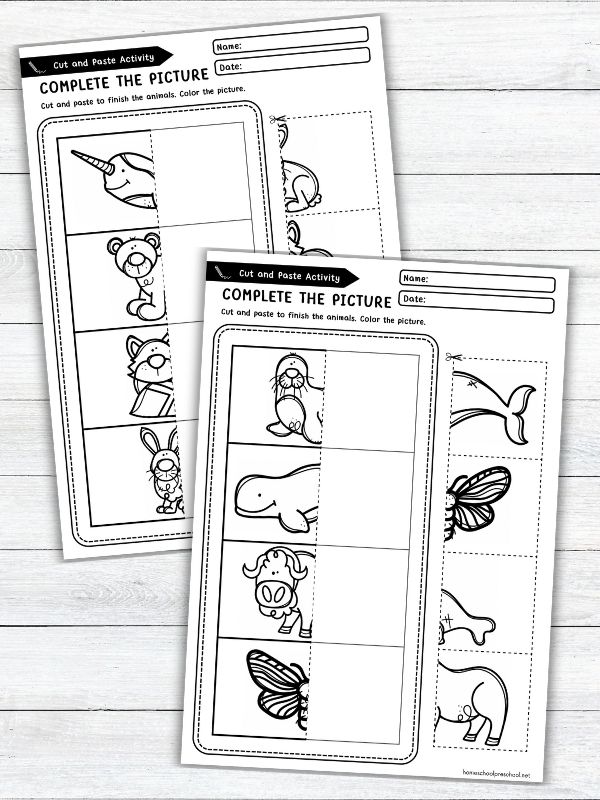 Arctic Animals Cut and Paste