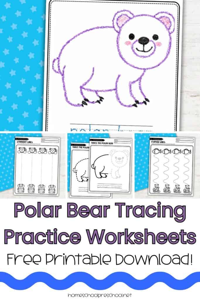 Polar bear tracing practice worksheets showing completed crayon tracing, line tracing pages, and a free preschool printable download preview