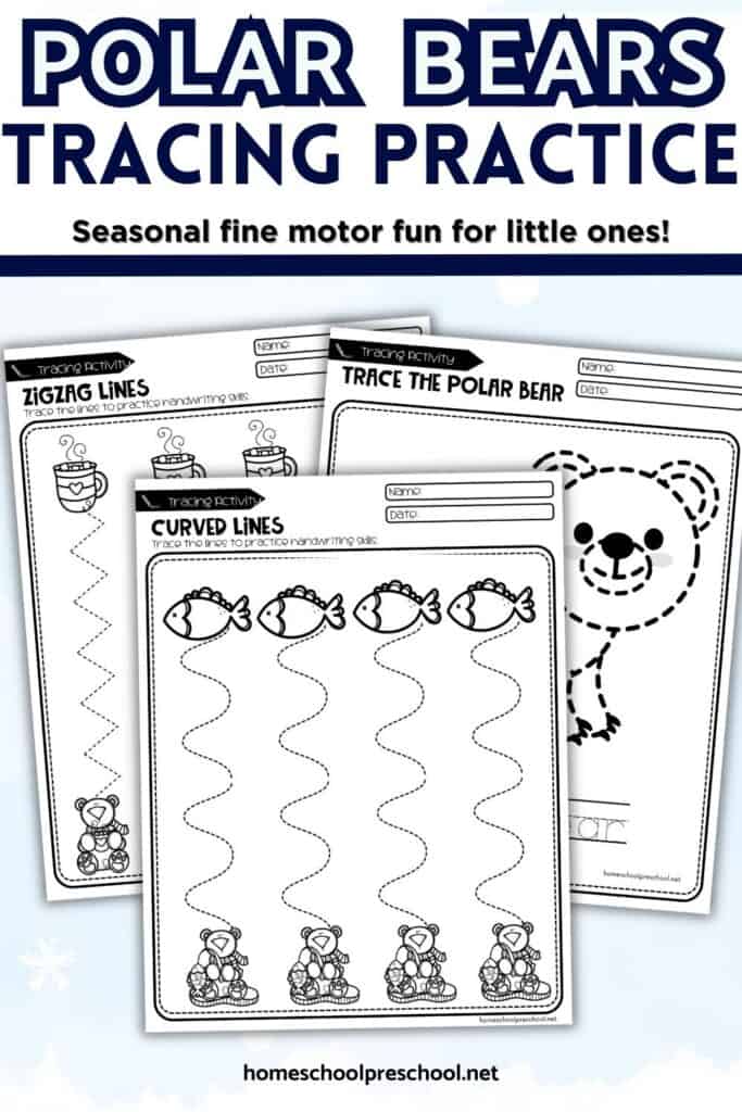 Polar bear tracing worksheets showing zigzag, curved, and picture tracing pages for preschool fine motor practice