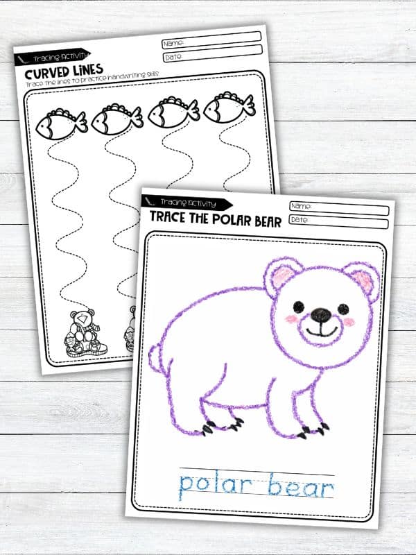 Polar Bear Tracing Worksheets