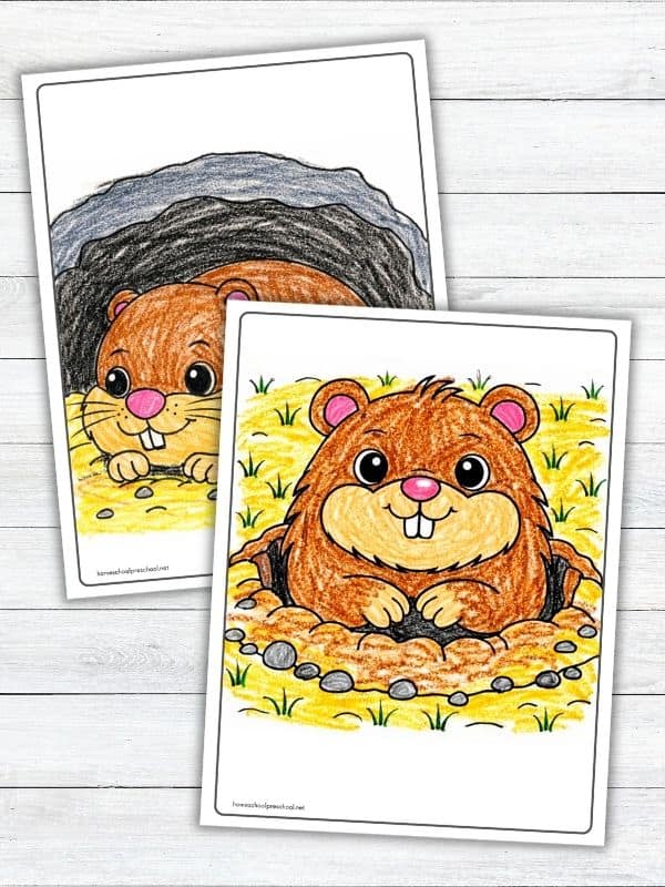 Groundhog Day Coloring Pages for Preschoolers